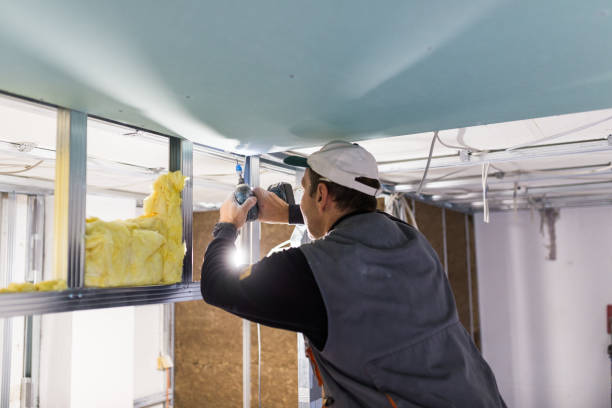 Best Attic Insulation Near Me  in Lake Isabella, CA