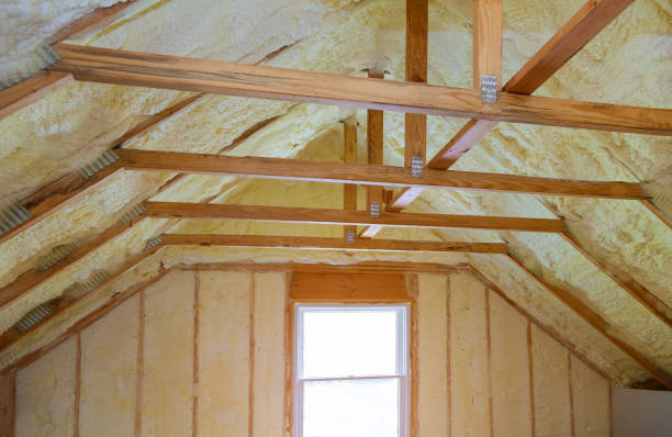 Best Insulation Inspection Services  in Lake Isabella, CA