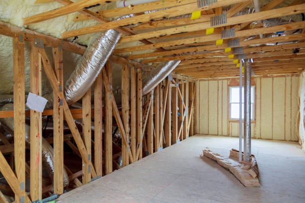 Best Insulation Replacement Services  in Lake Isabella, CA