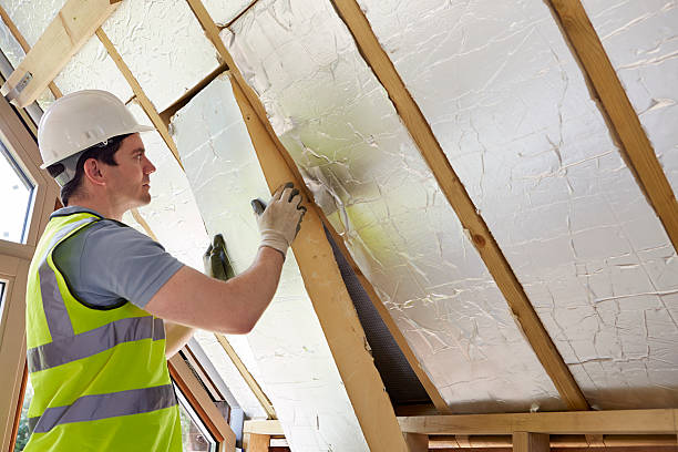 Best Insulation Removal  in Lake Isabella, CA
